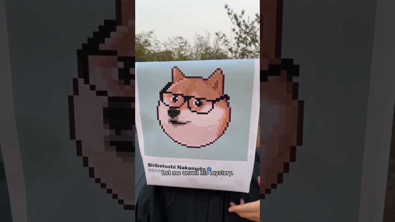 bitcoin Bitcoin founder, Satoshi Nakamoto. Today I will unveil his mystery!  #elonmusk - YouTube