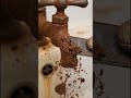 This Rust Didn’t Stand A Chance 🔥