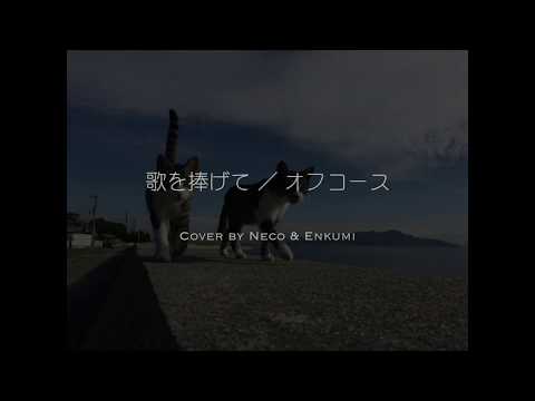 歌を捧げて / オフコース cover by NECO & ENKUMI