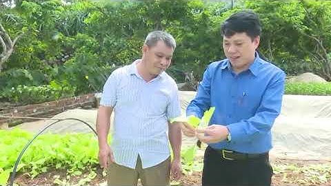 27-11 Chương trình truyền hình tiếng Mông bắc kạn.  backantv.vn