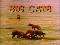 The Big Cats (1974) (1987 Edited Version)