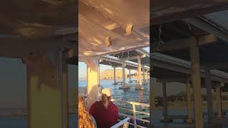 Going to go under the bridge!!😱😱😱😱😱😱#shorts #subscribe #smallyoutuber #cruise #boat