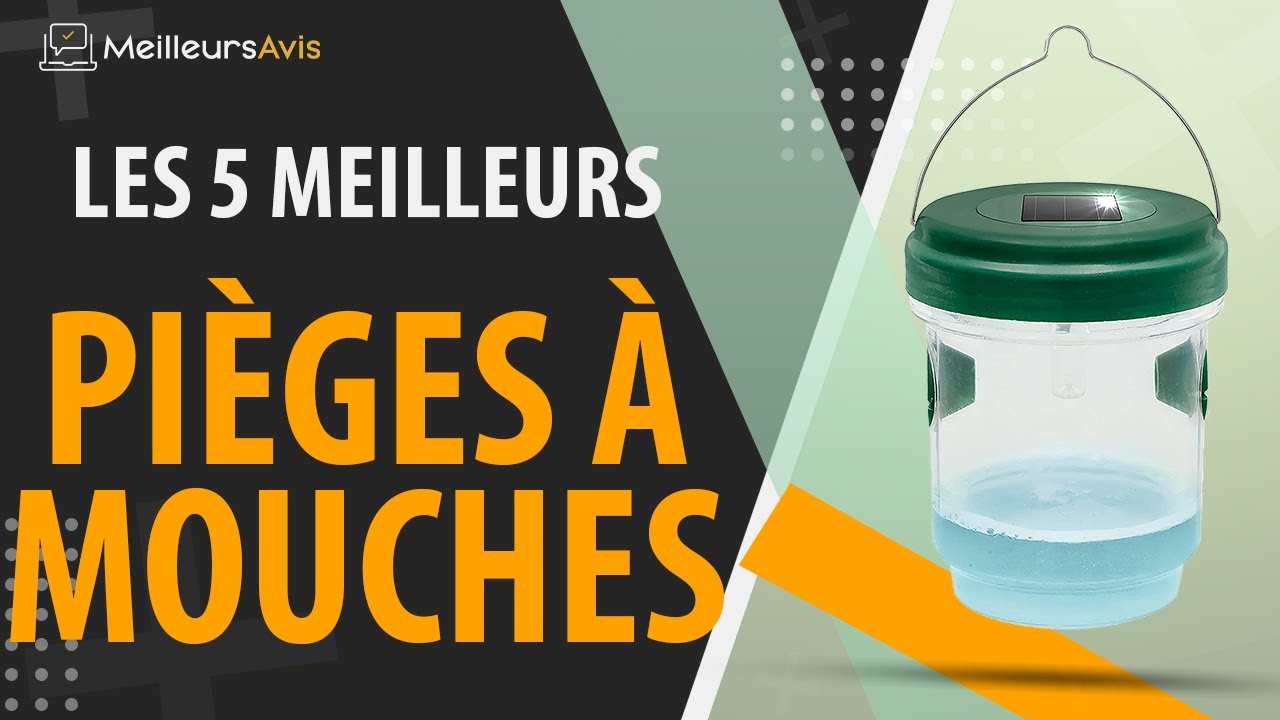 Mouches - Poche-piège - Vente en ligne au meilleur prix