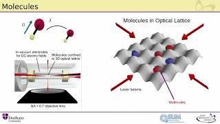 Quantum Gas Microscope for Molecules