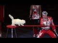 Дрессура с кошками - Федоровы (2011)