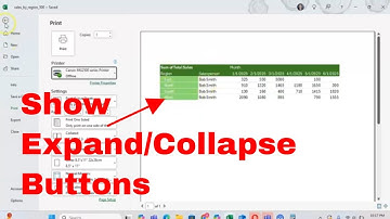 How to Show or Not Show Expand Collapse Buttons When Printing Pivot Tables in Excel #msexcel #howto