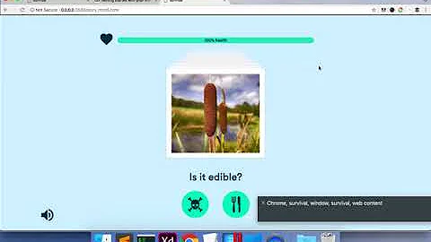 Working with accessibility in Storyline 360 - an example