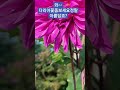 #건강한먹거리 #봉숭아학당 #웃음치료 #톡순이 #힐링센타