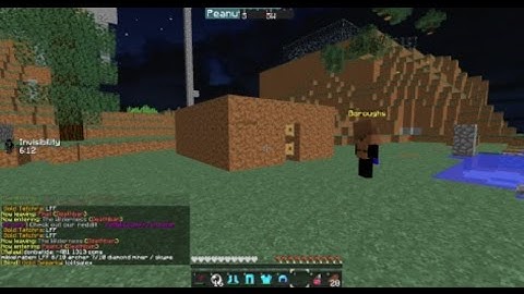 USING PETS TO INVIS RAID | ARCANE