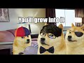 Doge dadepilogue