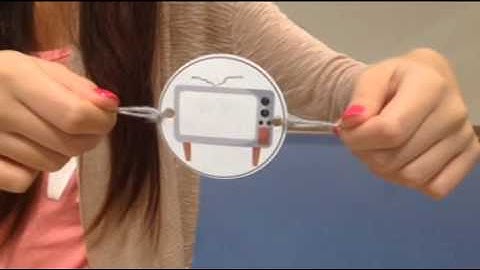 Animation History - Thaumatrope