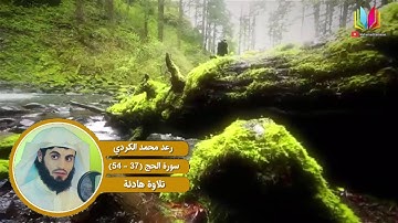 رعد محمد الكردي - تلاوة هادئة - سورة الحج 2017 HD