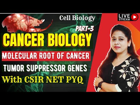Cancer Biology III - Cancer Critical Gene | Tumor Suppressor Genes | CSIR Questions