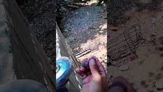 cortando piedras en casa #piedraspreciosas #preciousstones #minerals #minerales