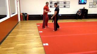 Joint Locking/Breaks, Flow Drill: Basic Principles From Striking