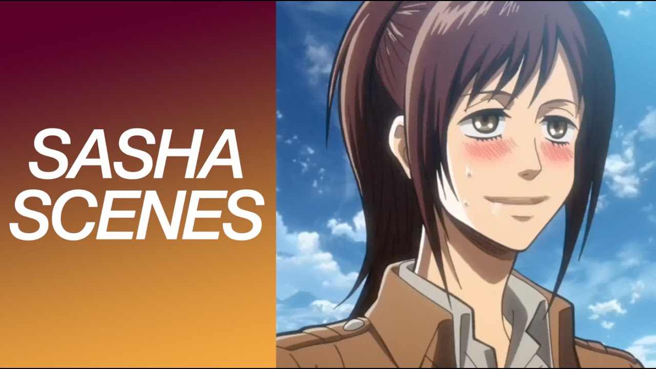 Featured image of post Aot Sasha Braus Smile Sasha blouse is arguably one of the most confusing and hilarious members within the cast of attack on titan