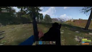 RUST | horse no brakes