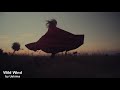 Wild Wind  鵜島仁文(Yoshifumi Ushima)