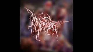 Download Lagu Morgue Terror - Terror In The Morgue (DEATH METAL) MP3