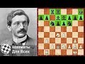 Шахматы. Эммануил Ласкер. Знаменитая ЖЕРТВА ФЕРЗЯ второго Чемпиона Мира!