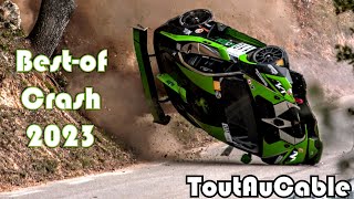 Best of Rallye Rally 2023  Hillclimb  Big Crash  Mistakes & Show by ToutAuCable