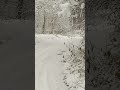 Ноябрьский снег