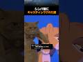 シンバ役にキャスティングされた猫