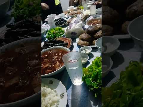 يم يم جوعانين طيور الجنة طيور بيبي اكسبلور لولو وفا