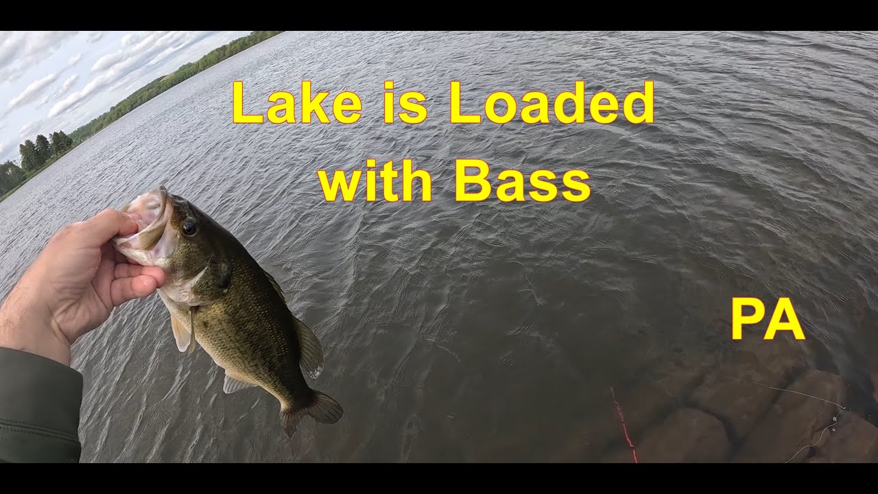 Somerset Lake is Loaded with Bass