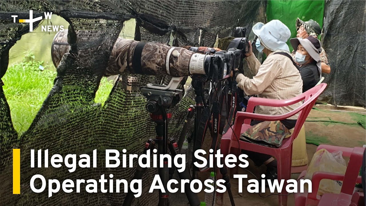 Illegal Birding Sites Operating Across Taiwan | TaiwanPlus News