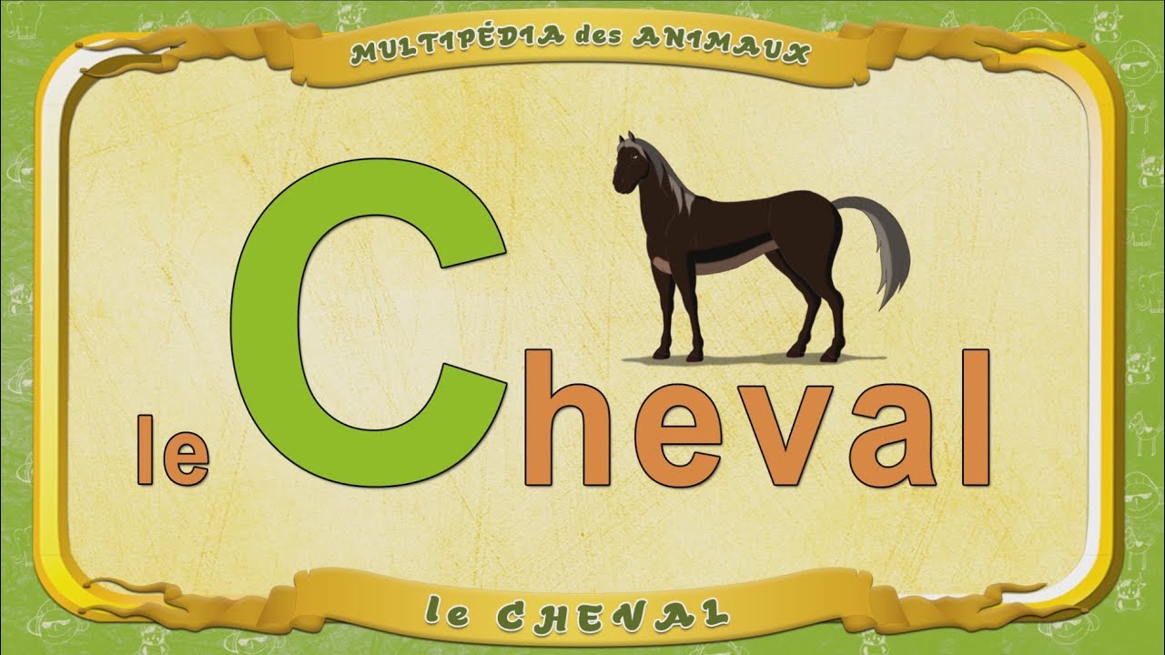 Multipédia des animaux. La lettre C le Cheval YouTube