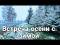 Необычный день.Любуюсь Латвией.Саласпилс.Огре.Красиво!Глаз не оторвать!