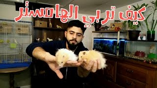 كيفية تربية الهامستر 🐹 واحتياجاته #منير_ليث