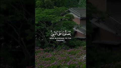 ان الله وملائكته يصلون على النبي ياايها الذين امنو صلو عليه وسلمو تسليما - القارئ احمد النفيس🌱