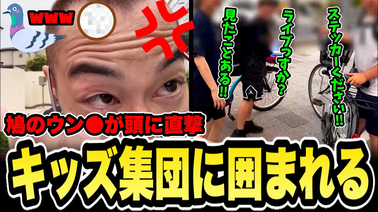 【実写】神戸→大阪徒歩縛り旅で鳩の糞が頭に直撃＆元気なキッズに絡まれるカイキング【カイキ行軍/vlog】