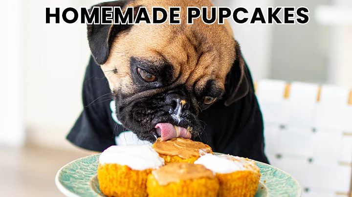 How to Make Pupcakes for Dogs | Simple Healthy Dog Cupcake Recipe