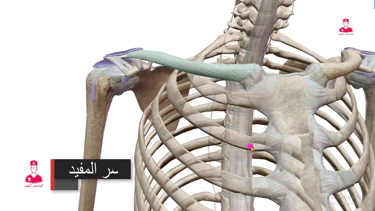 clavicle-youtube
