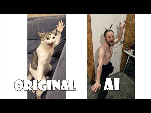 Cat kung fu Original vs Ai | funny cat doing kung fu (waaaaaaa)