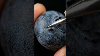 micro asmr HD Ai content with high resolution. #asmr #micro #microbiology #hd