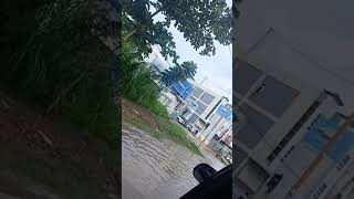 Bocah Abg Berenang Di Atas Kursi Pakai Dayung Di Samarinda