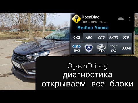 Диагностика автомобиля. OpenDiag открываем блоки.