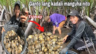 Traditional Way to Harvest Shell In the Nipa Forest Sobrang Dami
