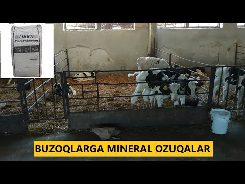 Video: Gullash Va Meva Berish Paytida Qalampirni Qanday Boqish Kerak: Mineral, Organik Va Xalq Tabobati
