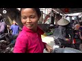 Thịt chuột Hà Nội | bí mật làng nghiện món ăn từ chuột nhất Việt Nam