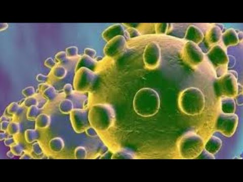 Coronavirus: 34 positive cases reported in India| DISTRICT NEWS | 07-03-2020 Coronavirus: 34 positive cases reported in India| DISTRICT NEWS | 07-03-2020