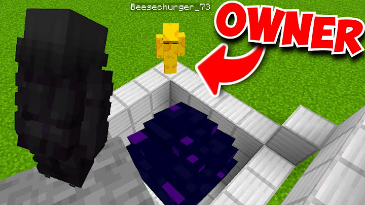 How I robbed the Owner of This Minecraft SMP
