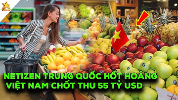Netizen Trung Quốc Việt Nam Thật Kinh Khủng Ồ Ạt Báo Tin Kỷ Lục Lịch Sử Tiền Về Ầm Ầm