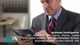 Xl Solutions I Software Services screenshot 4