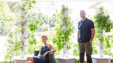 Aerospring Hydroponics: High-Quality Vertical Hydroponic Systems