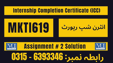 MKTI619 Assignment 2 Solution Fall 2025 #mkti619 #internhsip #report